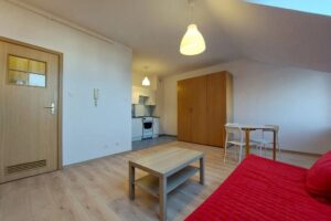 BRIGHT STUDIO APARTMENT FOR RENT | TARGÓWEK, WARSAW PARKING INCLUDED 3