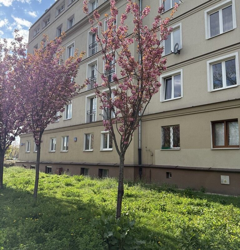 STYLISH STUDIO APARTMENT FOR RENT  MOKOTÓW WARSAW 2
