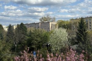STYLISH STUDIO APARTMENT FOR RENT  MOKOTÓW WARSAW 1