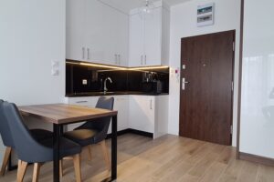 Modern Studio Apartment for Rent in Warsaw Ochota – Siemieńskiego 3