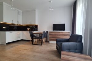 Kiralık Modern Stüdyo Daire – Ochota, Varşova | Pole Mokotowskie Yakını 1