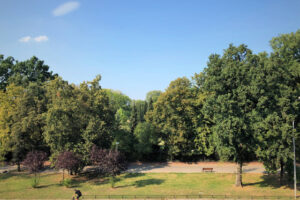 Studio Apartment for Sale in Mokotów – Near Łazienki Park | Warsaw 1