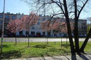 Studio Apartment for Sale in Mokotów – Near Łazienki Park | Warsaw 3