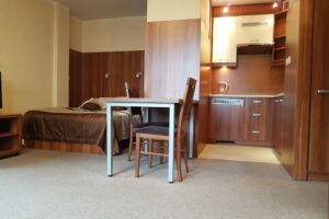 Fully Furnished Studio Apartment for Rent in Warsaw 1