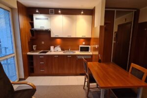 Fully Furnished 2-Room Apartment for Rent in Warsaw 4