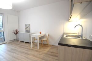 Modern Studio for Rent in Warsaw Mokotów 3