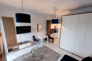 Studio Apartment for Rent in Wola, Warsaw 2